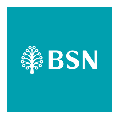 Bank Simpanan Nasional